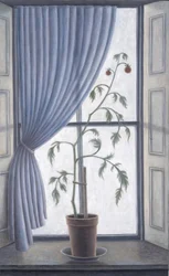 Plantar na Janela, 2003